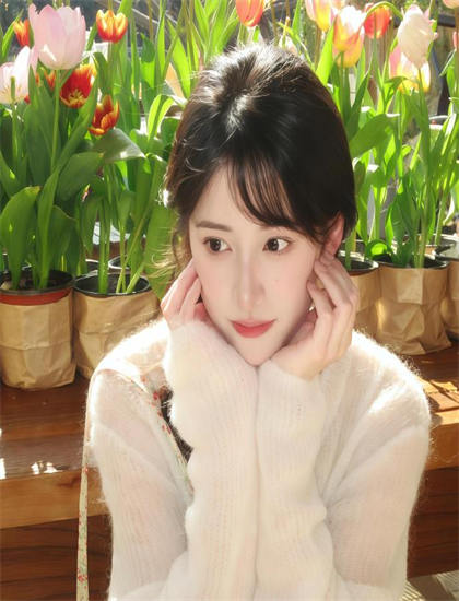 《史努比秀 第三季》欣赏指南：如何理解社会意义与现实价值 提升观影体验